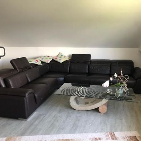 שליידן Ferienwohnung-Ameisenhardt מראה חיצוני תמונה
